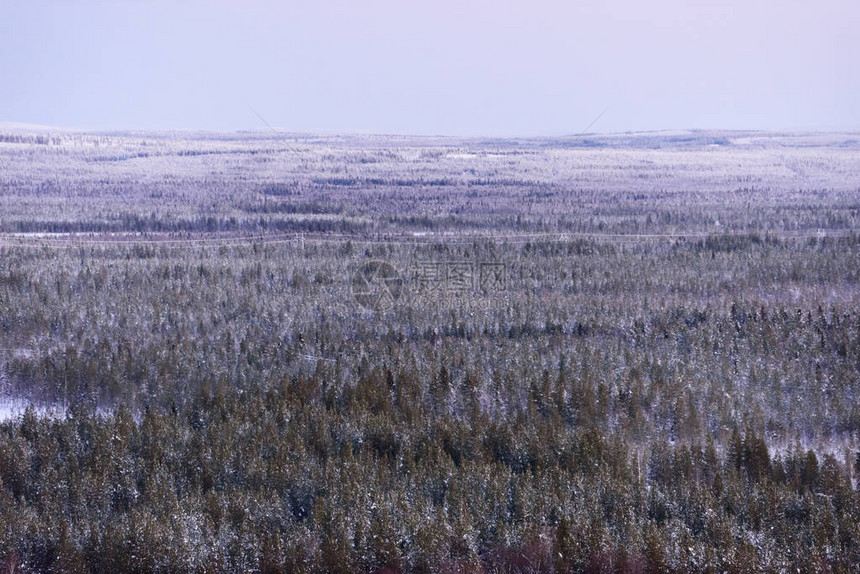 芬兰拉普兰Lapland冬季风景最优的风景覆盖着大雪图片