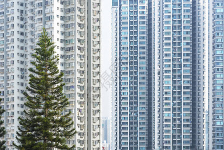 香港城市高层住宅外景图片