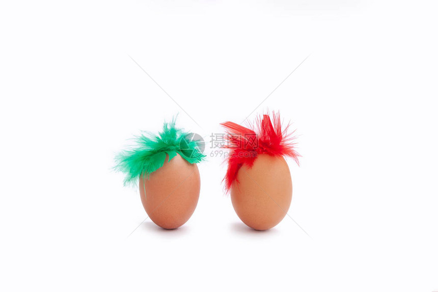两只鸡蛋红色和绿色羽毛图片
