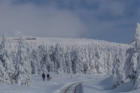 韦尼格罗德在冬天的风景中穿过美背景