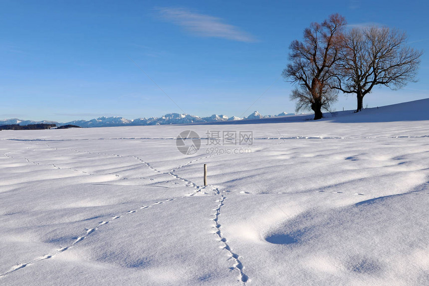 美丽的雪景观图片