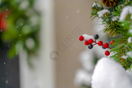 节日装饰用人造浆果和树叶节日装饰的细节与人造浆果附在绿叶上冬天被雪覆图片