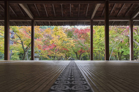 日本京都ZuigaganzanEnkouji寺庙的水图片