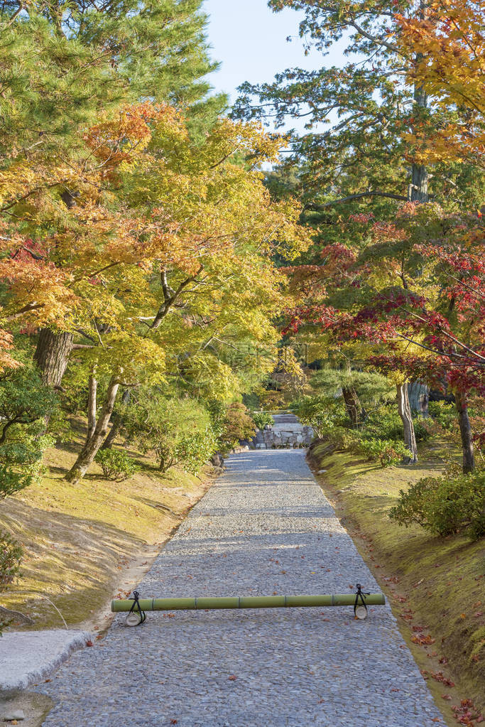 秋天日本京都亚林山的K图片