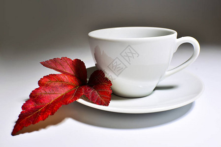 白杯热茶和枫叶图片