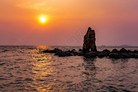 在海滩和日落的贝壳岩石图片