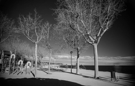 黑白红外摄影城市公园背景图片