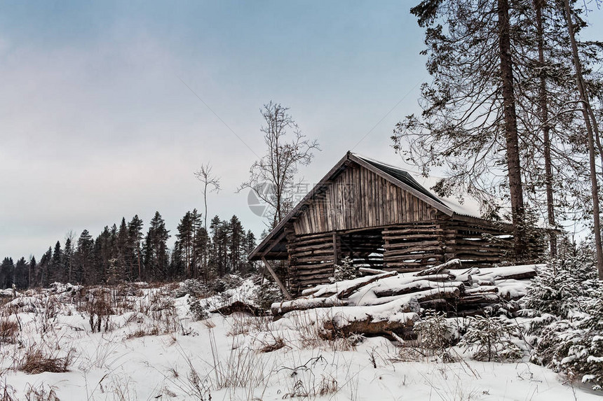 芬兰北部森林旁有一座旧的传统林木棚图片