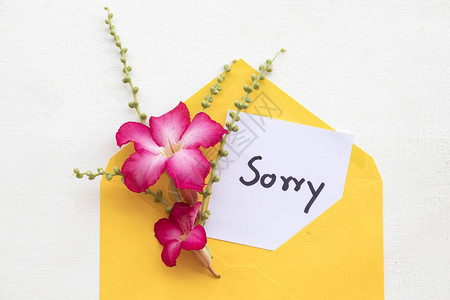 黄色信封里写着抱歉的留言卡笔迹粉红色花朵装饰平板布背景图片