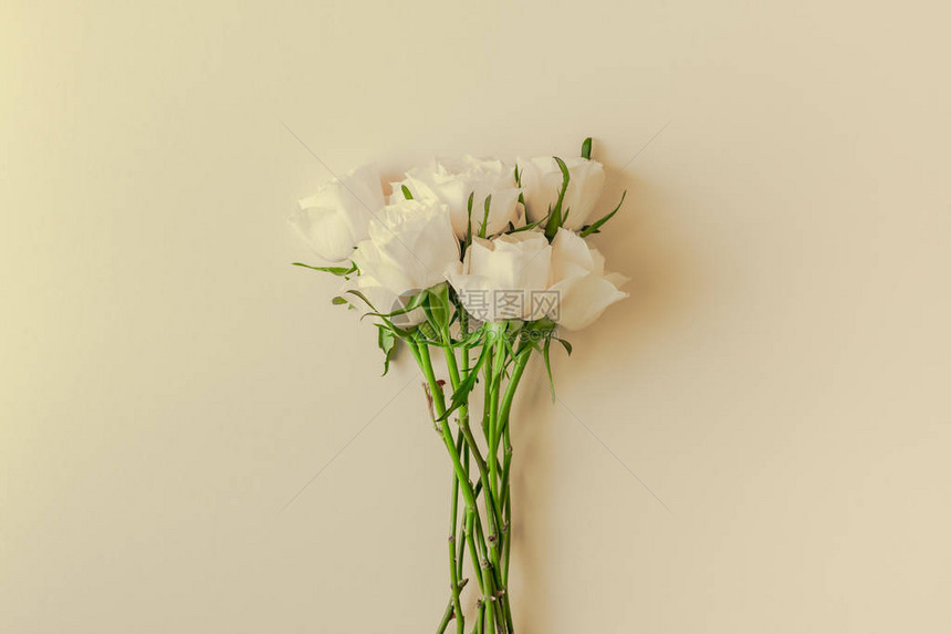 创用CCBYNCND2具有创意的顶端观点平面铺放着新鲜白色玫瑰花束图片