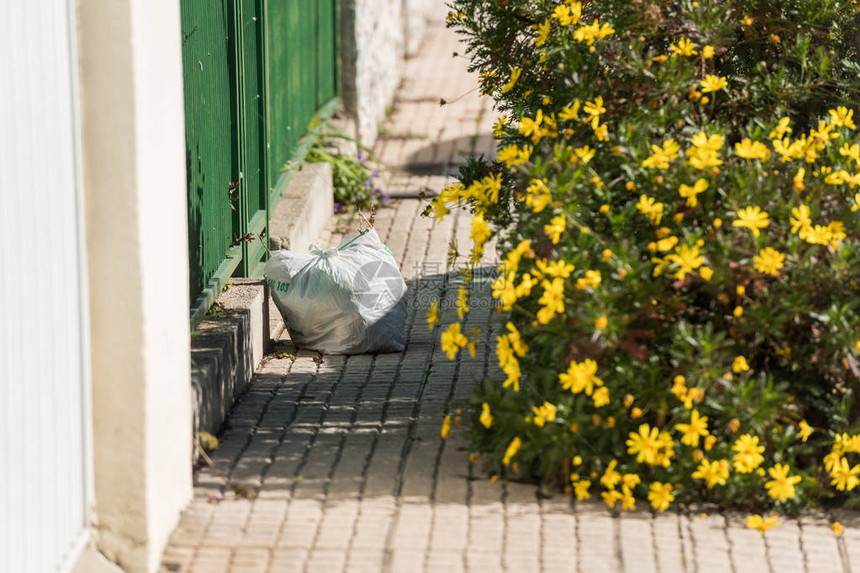 白塑料袋扔在西班牙埃斯特雷马杜拉的卡塞雷斯黄花丛图片