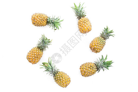 白背景的菠萝水果食物框架图片