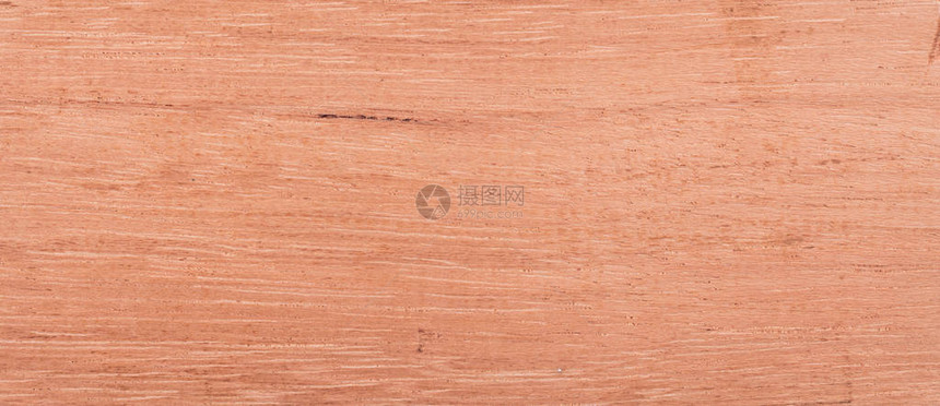 木材背景来自热带雨林的木材苏里南Vochysiatom图片