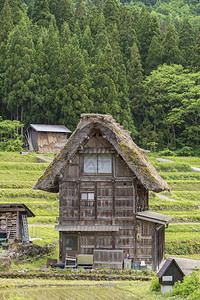 日本历史悠久的白川乡的茅草屋背景图片