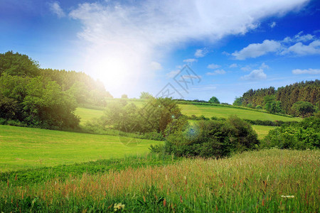 与绿色草甸和日落的夏天风景夏天背景图片
