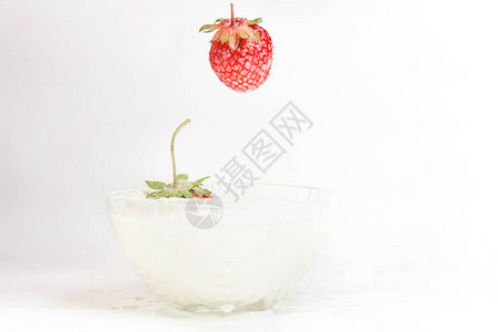 从落下的草莓和白色背景中抽出奶粉图片