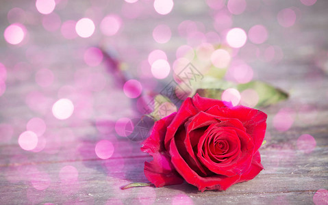 红玫瑰圣瓦伦丁的背景背景图片