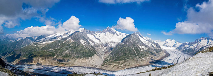 阿莱奇冰川是瑞士瓦莱州伯尔尼阿尔卑斯山脉东图片