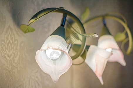 花植物形式的壁灯图片