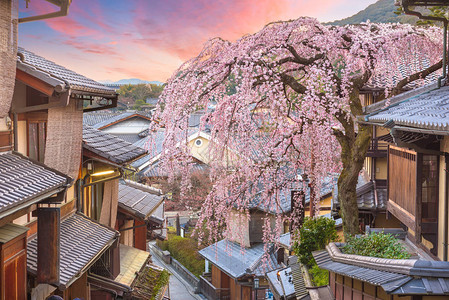 京都日本在春天有樱花的东山区高清图片