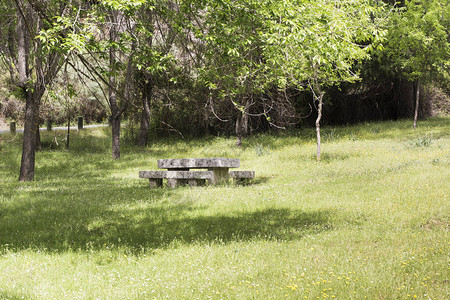 在森林树荫下野餐的石桌图片