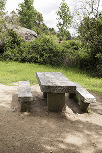 在森林树荫下野餐的石桌图片