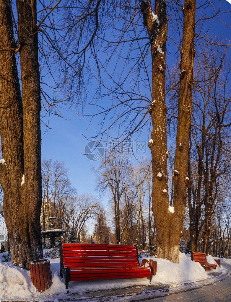 乌克兰基辅冬季在公园小巷拍图片