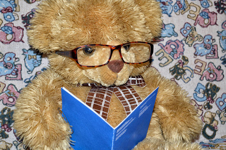 泰迪熊在沙发上他正在读图片