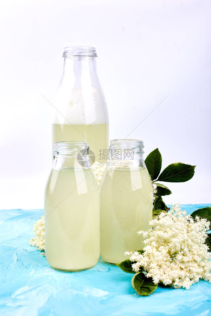 与接骨木花在蓝色背景上的康普茶自制发酵饮料夏季健康天然益生菌味饮图片