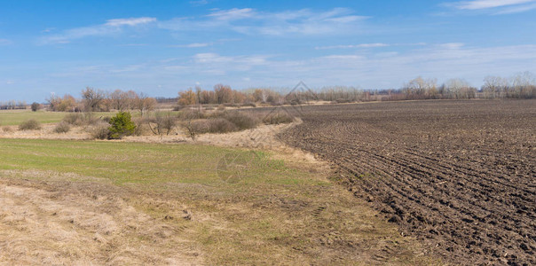 乌克兰春季的田野图片