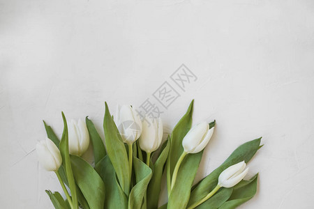 带复制空间的白色郁金香花束图片