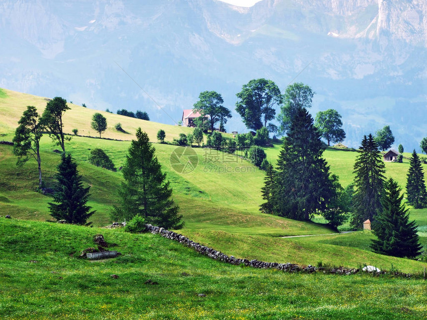 瑞士圣加仑州托格根堡地区Churfirveen山脉坡上的阿尔卑斯图片