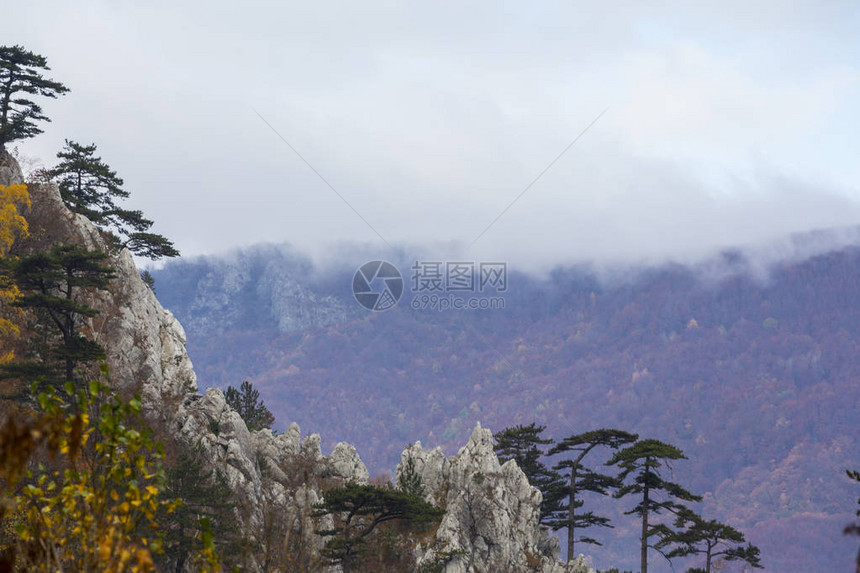 山中秋色枝繁叶茂云雾缭绕图片