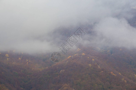 山上美丽的秋天风景森林里有金图片