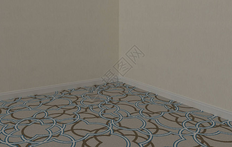 Moquette地毯地毯关闭用白壁纸和基图片