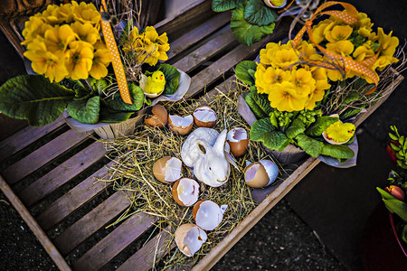 花店的复活节装饰复活节兔子和复活节彩蛋花卉市场上美丽的黄图片