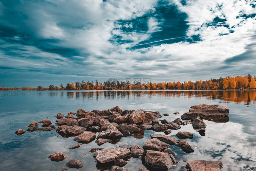 美丽的秋水湖黄绿树和青绿树蓝图片