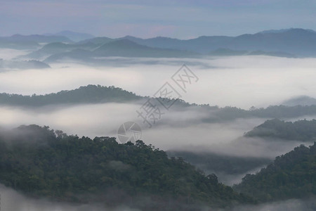 山中的雾景美丽的早晨图片