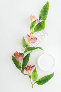 粉红花绿树叶和白底瓶装美容奶油的图片