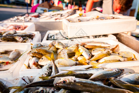 不同的鲜鱼在渔贩户外海鲜市场高清图片