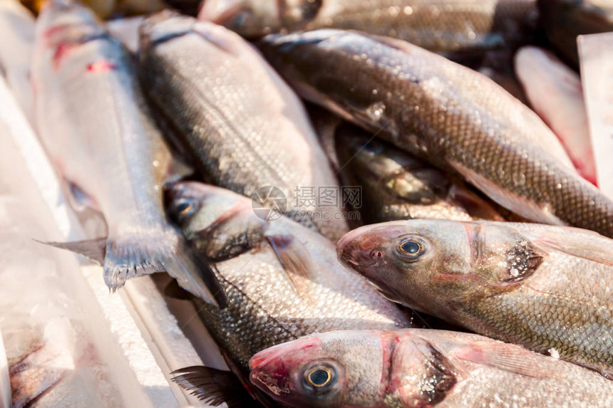 新鲜牛排海沟穆莱特鱼贩卖的鱼图片
