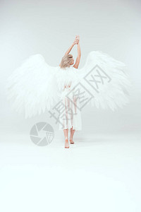 白色背景的天使翅膀图片