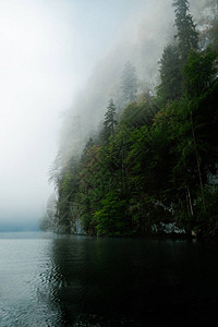 湖边的雾中森林与神秘树林之图片