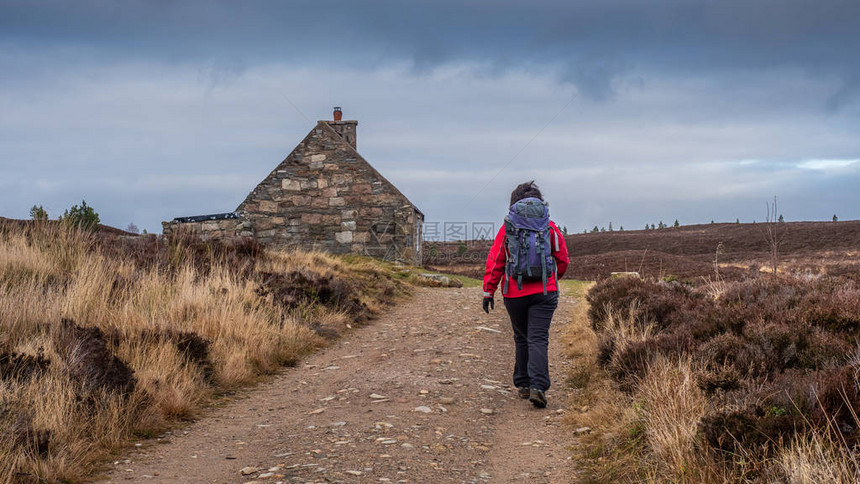 身穿红色外套的女士在苏格兰Cairngorms公园朝RyvoanBo图片