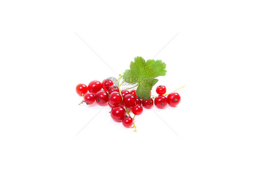 关闭在白色背景隔绝的红醋栗莓果看法一束红醋栗和红醋栗图片