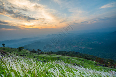 山上风景日出田野和草地绿草花白与图片