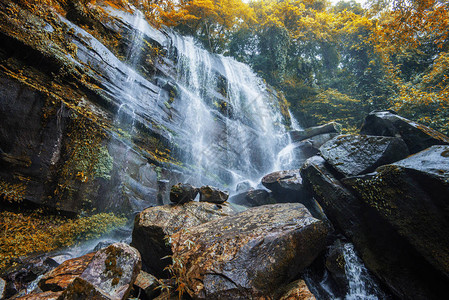 秋季瀑布地貌森林山和竹树野热带瀑布图片