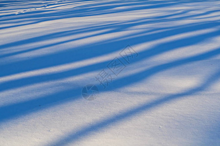 夏季花园的雪上阴影2图片