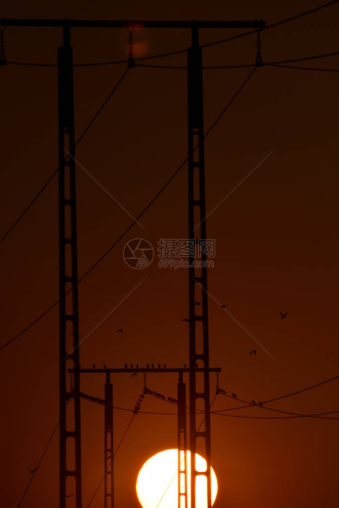 日落时椋鸟坐在电力牵引杆上图片