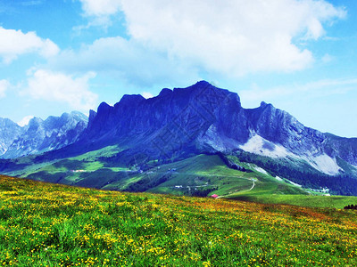 瑞士圣加仑州阿尔卑斯山脉Rtikon山脉的Girenspitz图片